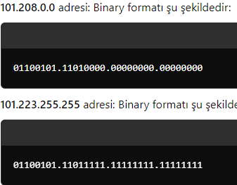 Adım 1: IP Adreslerini Binary Formatına Çevirme